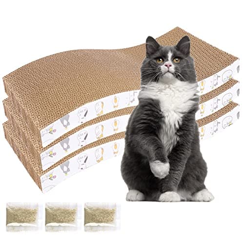 What Are Types of Cat Scratchers? A Complete 2026 Guide