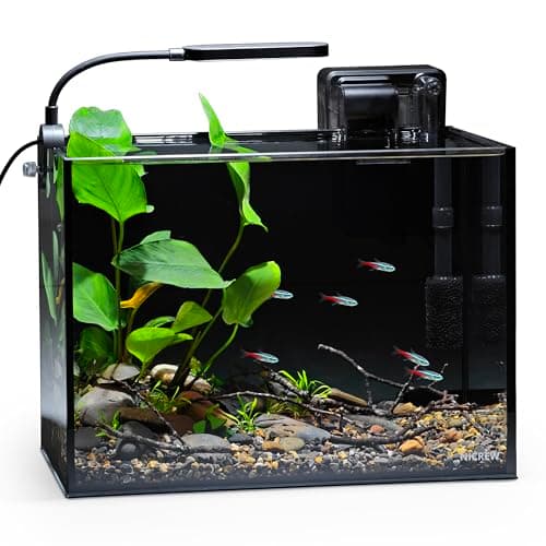 8 Best Nano Aquariums in 2026 — Compact, Low-Maintenance Tanks for Desks and Small Spaces