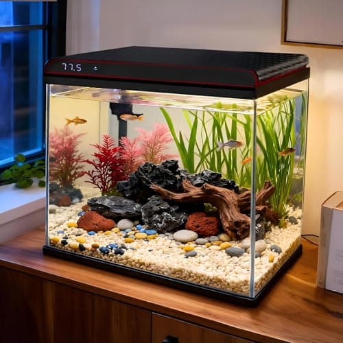 Coospider 10 Gallon Glass Fish Tank, Aquarium Starter Kit, Simple Self-Cleaning Aquarium with 3-Color LED Lights, Quiet Filter Pump, Temperature Monitoring for Fish, Shrimp, Kids Gift Ideas