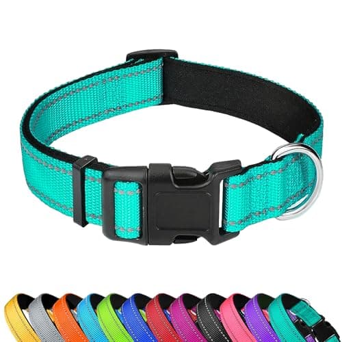 PWOD Reflective Dog Collar, Adjustable Soft Neoprene Padded,Teal,M