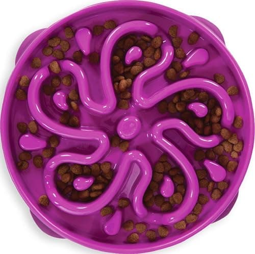 Outward Hound Fun Feeder Slo Bowl – Large 4‑Cup Capacity, Slow Feeding, Medium to Large Dogs, Non‑Slip, Purple, Flower Pattern Review (2026): Specs, Pros & Cons, and Who It's For
