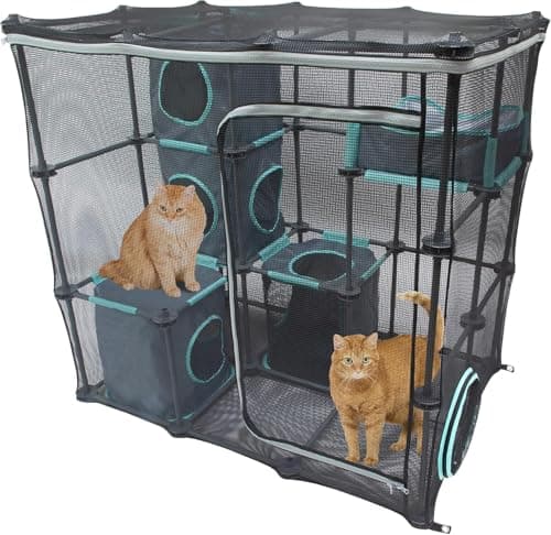 8 Best Modular Catio Kits in 2026 — Safe, Expandable Outdoor Fun for Cats