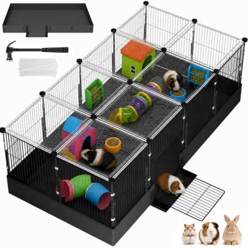What is a Guinea Pig Cage Size Guide? A Complete 2026 Guide