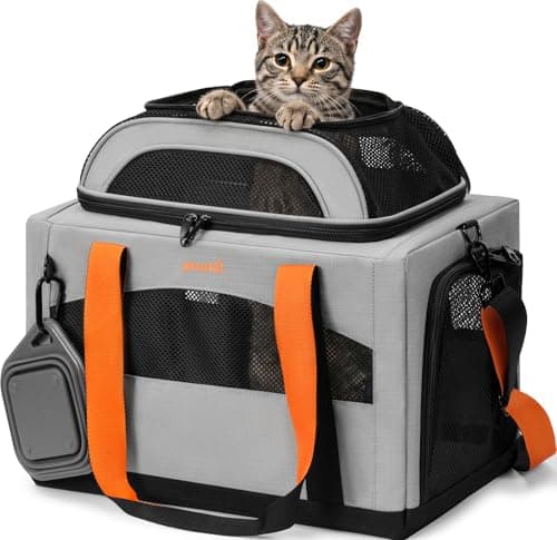 How to Choose the Best Cat Carrier in 2026: Complete Buying Guide