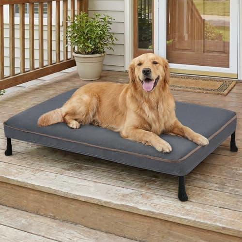 Veehoo Chew Proof Dog Bed, Orthopedic Elevated Dog Bed with Padded Cover | Washable Indestructible Raised Dog Cot for Indoor & Outdoor, Large Dog Bed with Non-Slip Feet, 49" x 32", Dark Grey
