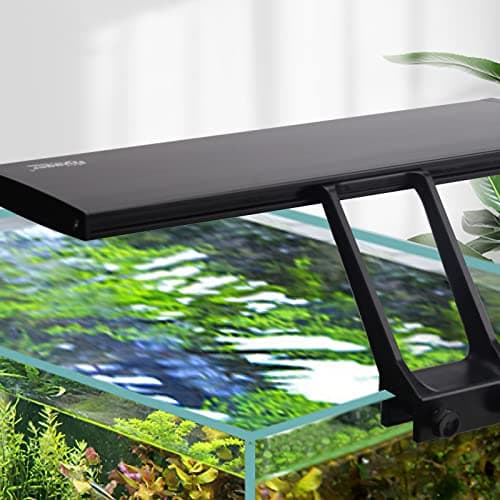 What is Aquarium Lighting Explained? A Complete 2026 Guide