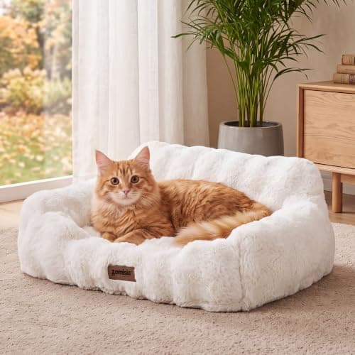 ZOMISIA Orthopedic Cat Couch Bed for Indoor Cats, Removable Washable Cover | 24x18'' Cute Cat Sofa Bed, Neck-Friendly Bolster, Pet Couch Bed with Supportive Egg Foam for Small Dogs Puppy Kitten, White