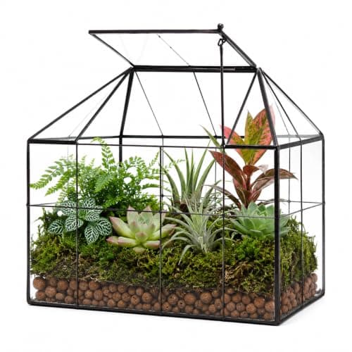 Large Glass Terrarium House Planter – Succulent Plant Terrarium House Shape Glass Greenhouse Terrarium with lid 9.8"X7.9"X5.9"