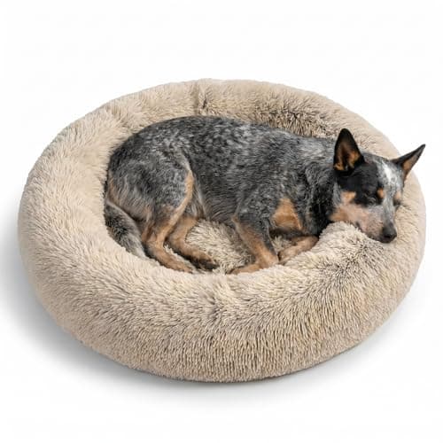 Best Friends by Sheri Original Calming Donut Dog Bed, Taupe, Medium, 30"