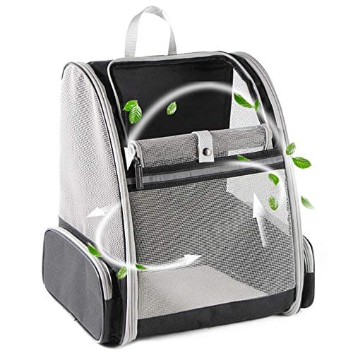 8 Best Cat Backpacks in 2026 — Safer, Roomier Picks for Stress-Free Travel