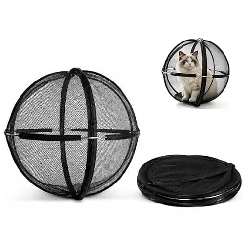 8 Best Outdoor Cat Enclosures for Backyards in 2026 — Safe Fresh-Air Play Without the Escape Stress