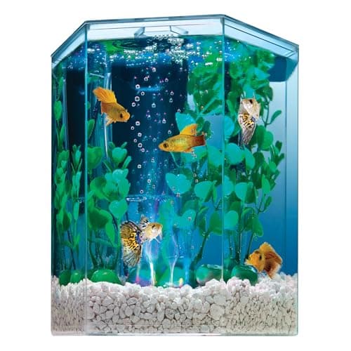 Tetra Bubbling LED 1 Gallon Starter Fish Tank Kit For Freshwater Fish